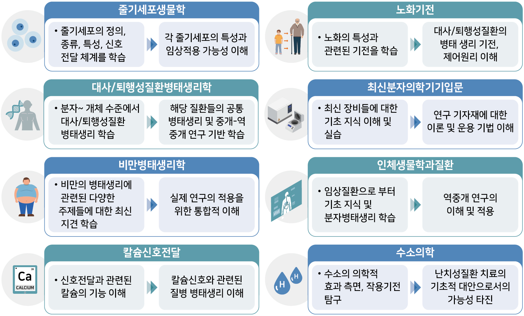 전공선택과목